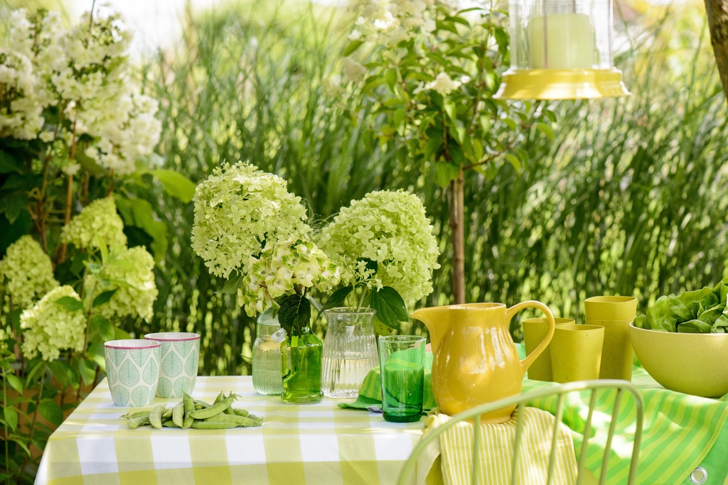 Die Hortensie Im Eleganten Garten Es Grunt So Grun Wenn Hortensien Bluhen Blumenburo