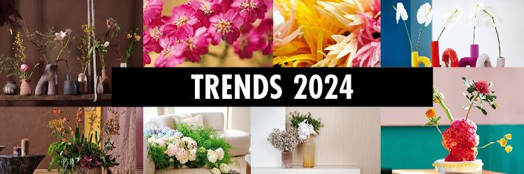 Horticulture Trends 2024