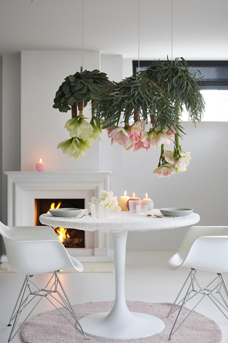 Amaryllis staat in december op de Bloemenagenda Amaryllis staat in december op de Bloemenagenda