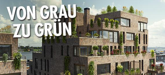 Evaluierung der Kampagne „Von Grau zu Grün“