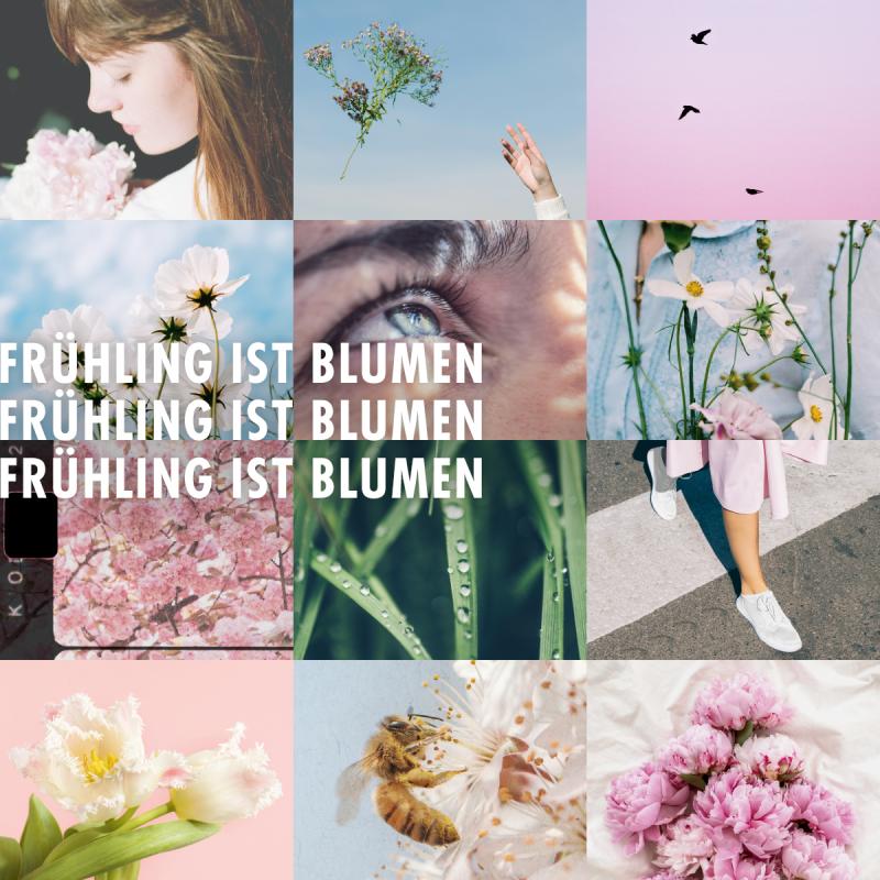 Frühling ist Blumen Frühling ist Blumen