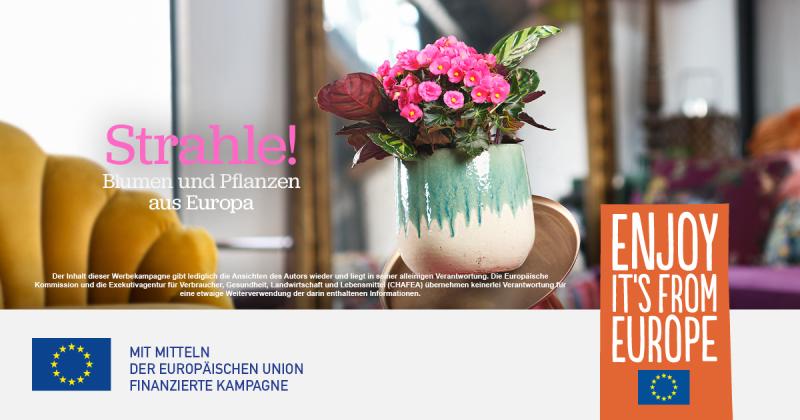 „Strahle“ – Europäische Kampagne ist in vollem Gange „Strahle“ – Europäische Kampagne ist in vollem Gange