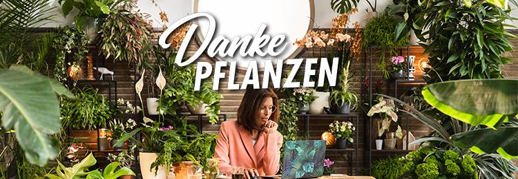 Danke-Pflanzen_750x260