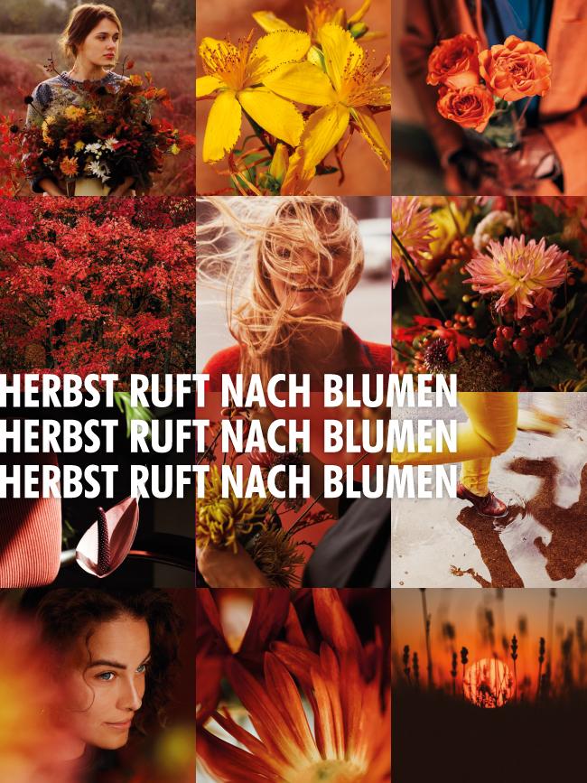Content-Kampagne „Herbst ruft nach Blumen”