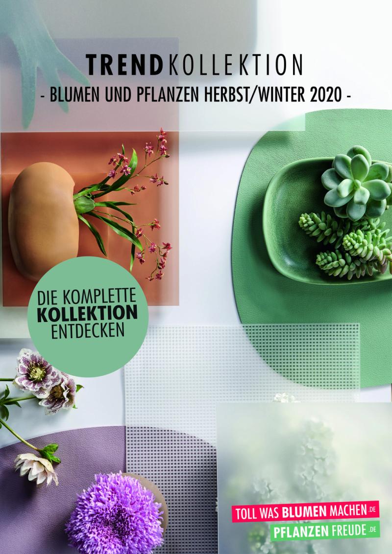 Trendkollektion Herbst/Winter 2020 positiv bewertet