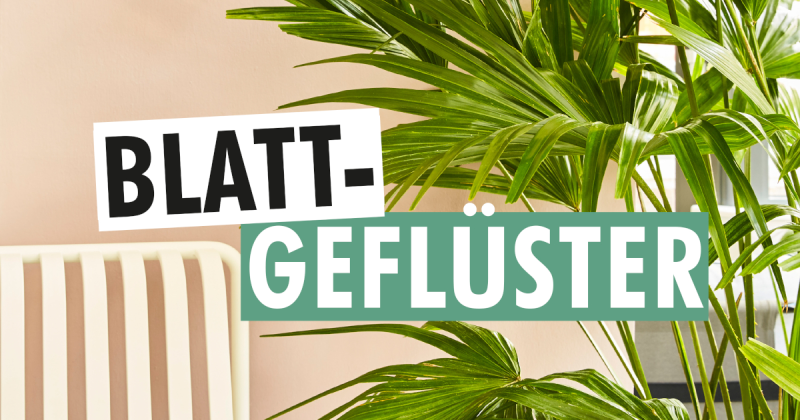 German plants podcast 