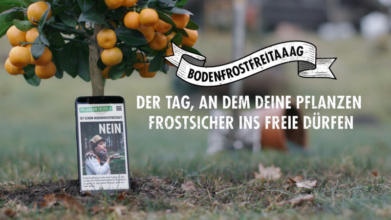 Bodenfrostfreitag Prediktor Bodenfrostfreitag Prediktor