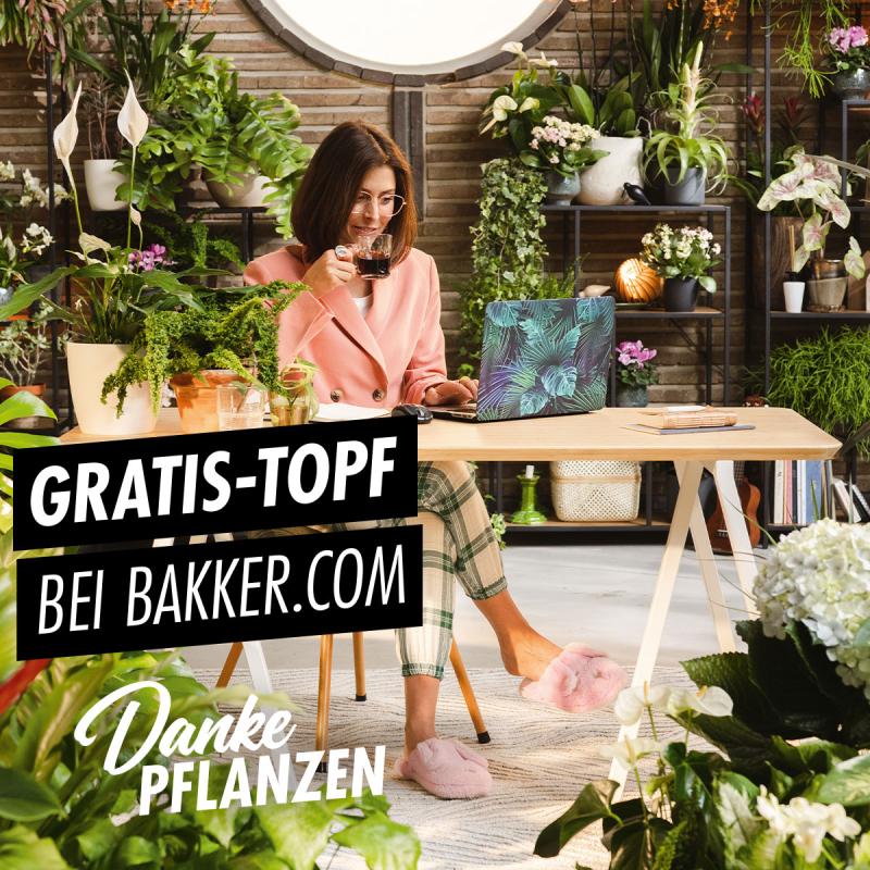Rekordzahl an Verkaufsförderungen bei „Danke Pflanzen“-Kampagne 2021