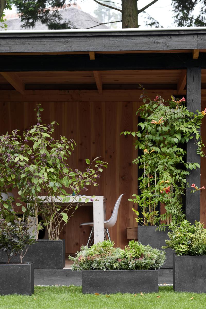 Indian Summer: Tuinplanten van de maand september 2019 Indian Summer: Tuinplanten van de maand september 2019