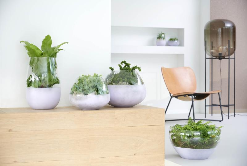 trendcollectie_herfst_2020_varens
