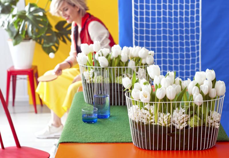 Bloemenagenda januari: de Tulp Bloemenagenda januari: de Tulp