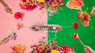 Blumenbüro Holland im Namen der niederländischen Zierpflanzenbranche