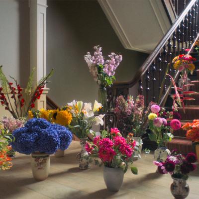 Wir brauchen mehr Blumen Wir brauchen mehr Blumen