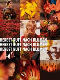 Herbst ruft nach Blumen