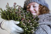 Tuinplant van de Maand januari Winterheide