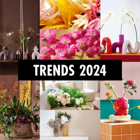 Trends 2024