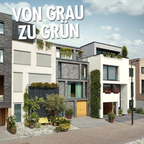 Von Grau zu Grün